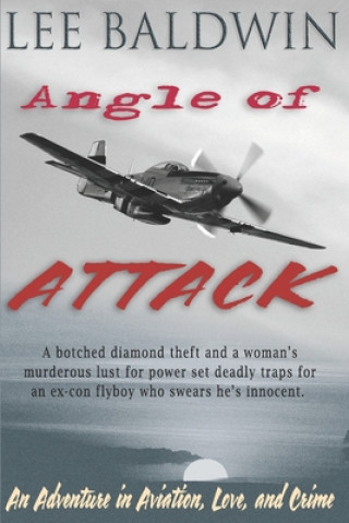 Kniha Angle of Attack: An Adventure in Aviation, Love, and Crime Lee Baldwin