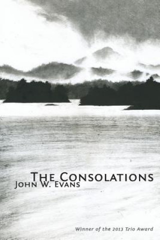 Kniha The Consolations John W Evans