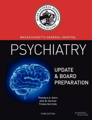 Kniha Massachusetts General Hospital Psychiatry Update & Board Preparation Theodore A Stern