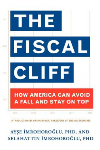 Buch The Fiscal Cliff: How America Can Avoid a Fall And Stay On Top Ayse Imrohoroglu Phd