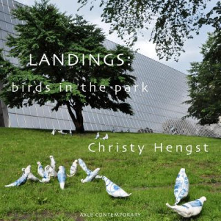 Kniha Landings: birds in the park Christy Hengst