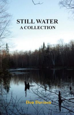 Könyv Still Water: A Collection Don Davison