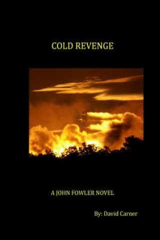 Buch Cold Revenge: A John Fowler Novel David Carner