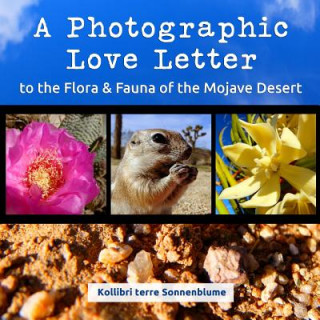 Könyv A Photographic Love Letter to the Flora and Fauna of the Mojave Desert Kollibri Terre Sonnenblume