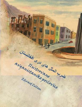 Könyv Ilustrovane Avganistanske Poslovice Edward Zellem