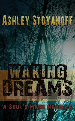 Kniha Waking Dreams Ashley Stoyanoff