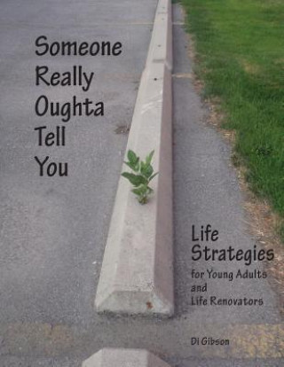 Könyv Someone Really Oughta Tell You: Life Strategies: For Young Adults and Life Renovators Di Gibson