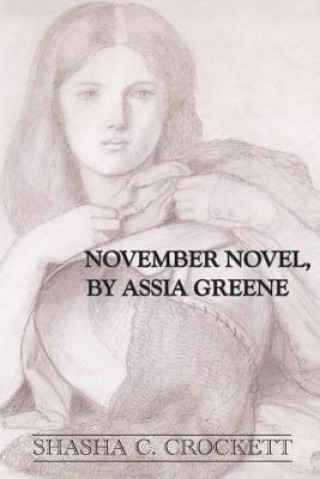 Książka November Novel, by Assia Greene Shasha C Crockett