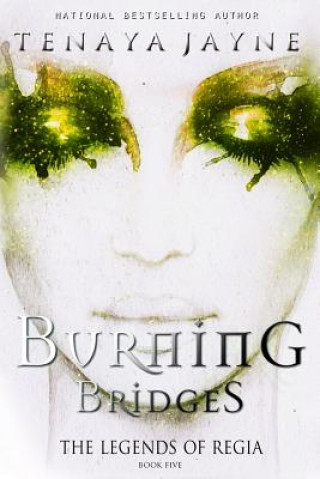 Книга Burning Bridges Tenaya Jayne