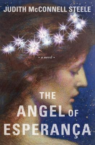 Carte The Angel of Esperanca Judith McConnell Steele