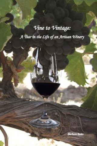 Książka Vine to Vintage: A Year in the Life of an Artisan Winery Barbara Beito