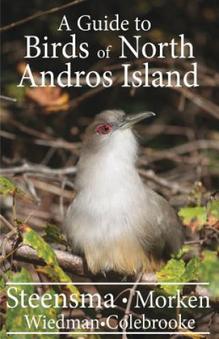 Книга A Guide to the Birds of North Andros Island Dr Joseph T Steensma
