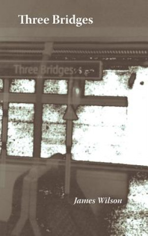 Книга Three Bridges James Wilson