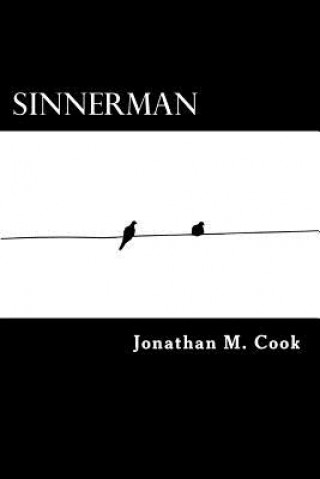 Knjiga Sinnerman Jonathan M Cook