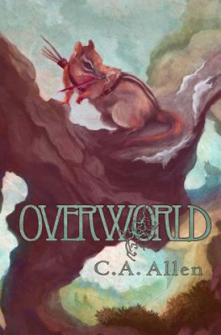Buch Overworld C A Allen