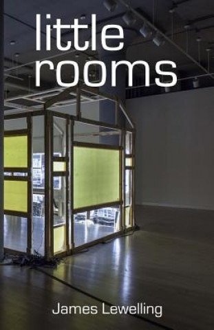 Buch Little Rooms James Lewelling