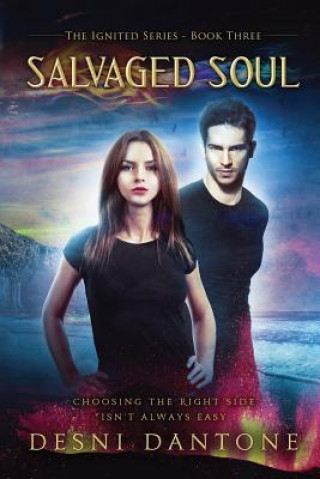 Boek Salvaged Soul Desni Dantone