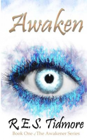 Kniha Awaken: The Awakener Series R E S Tidmore