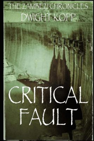 Kniha Critical Fault Dwight Kopp