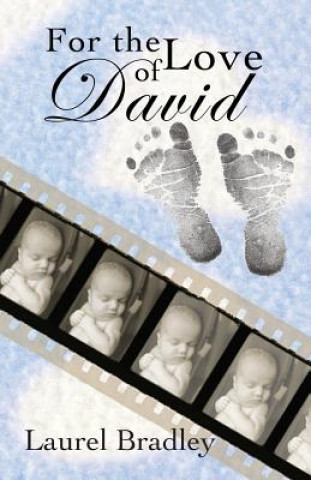 Kniha For the Love of David Laurel Bradley