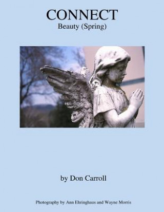 Kniha Connect: Beauty (Spring) Don Carroll