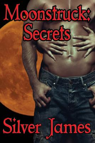 Kniha Moonstruck: Secrets Silver James