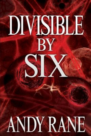 Boek Divisible by Six Andy Rane