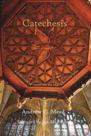 Carte Catechesis: Sermons for the Christian Year Andrew C Mead