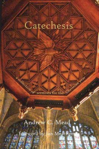 Kniha Catechesis: Sermons for the Christian Year Andrew C Mead