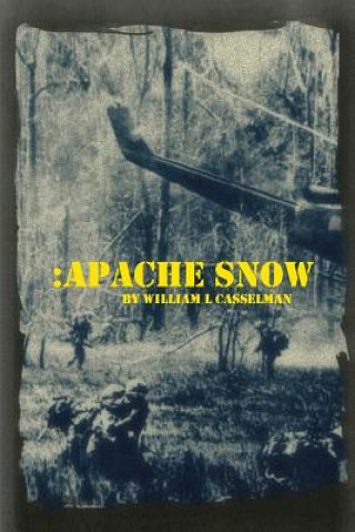 Knjiga Apache Snow William Casselman
