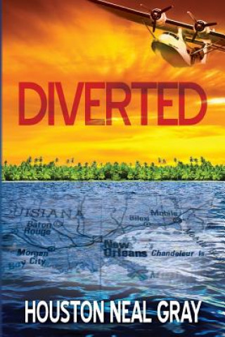 Boek Diverted Houston Neal Gray