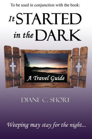 Könyv It Started in the Dark - Travel Guide Diane C Shore