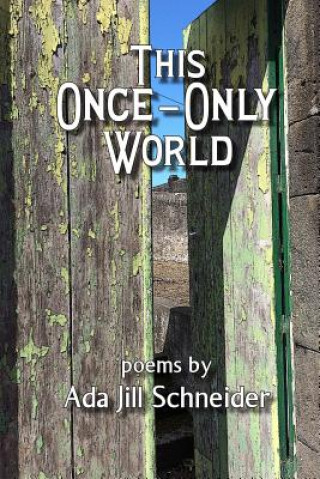 Knjiga This Once-Only World Ada Jill Schneider