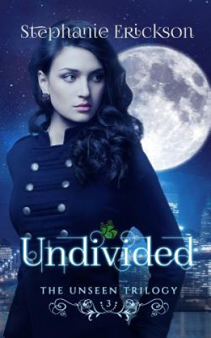 Kniha Undivided Stephanie Erickson