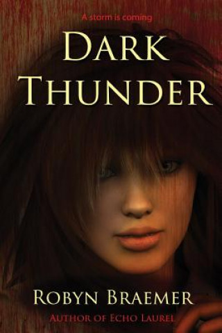 Buch Dark Thunder Robyn Braemer