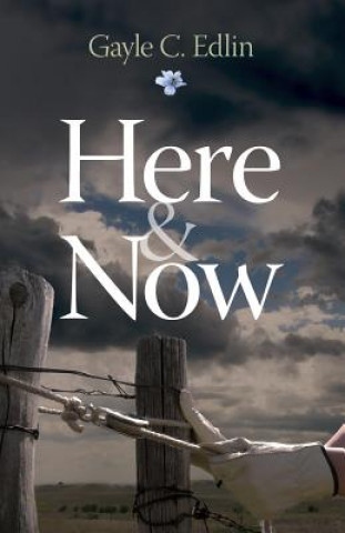 Boek Here & Now Gayle C Edlin