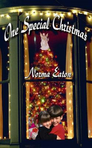 Kniha One Special Christmas Norma J Eaton