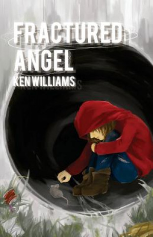 Buch Fractured Angel Ken Williams