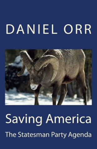 Kniha Saving America: The Statesman Party Agenda Daniel Orr