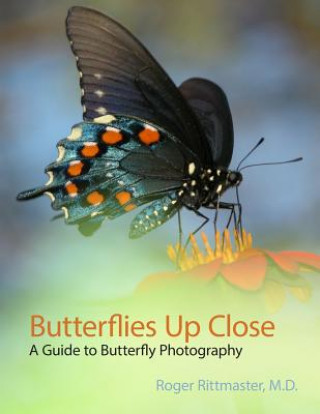 Libro Butterflies Up Close Roger Rittmaster