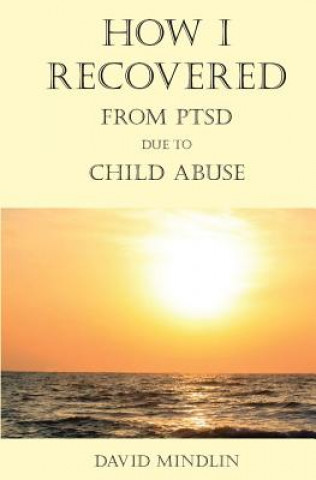 Kniha How I Recovered From PTSD Due To Child Abuse David Mindlin