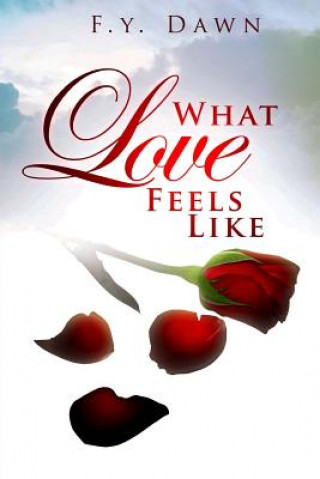 Knjiga What Love Feels Like F Y Dawn