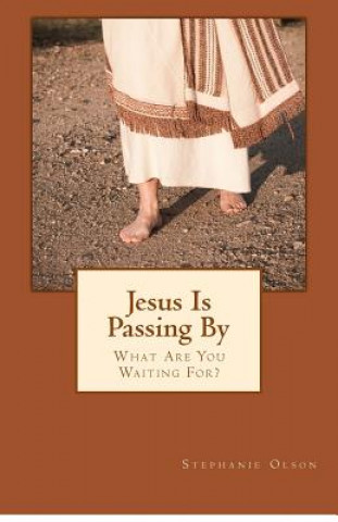 Książka Jesus Is Passing By: What Are You Waiting For? Stephanie Olson