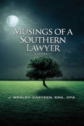 Könyv Musings of a Southern Lawyer: A Collection of Commentary and Observations from the New South MR J Wesley Casteen