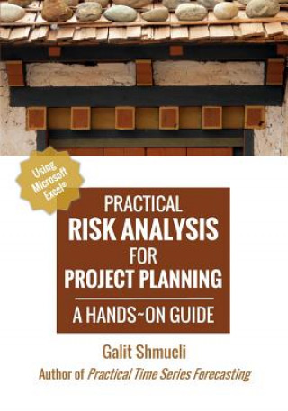 Kniha Practical Risk Analysis for Project Planning Galit Shmueli