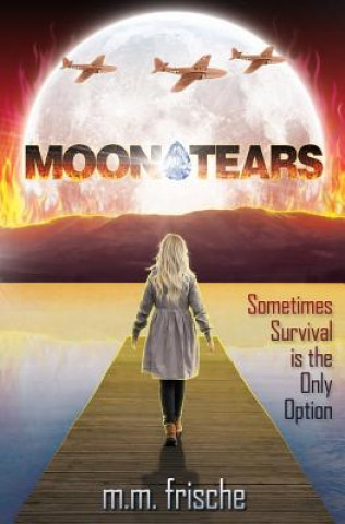 Buch Moon Tears M M Frische