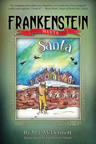 Libro Frankenstein Meets Santa M J McDermott