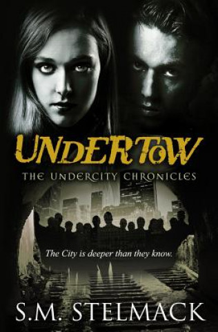 Knjiga Undertow S M Stelmack