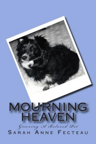 Книга Mourning Heaven Sarah Anne Fecteau