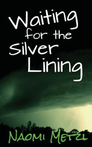 Buch Waiting for the Silver Lining Naomi Metzl